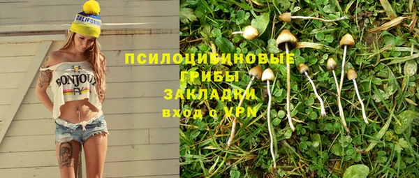 таблы Алексин