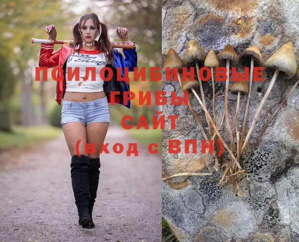 метамфетамин Алексеевка