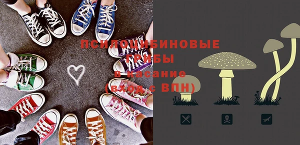 дмт Алзамай